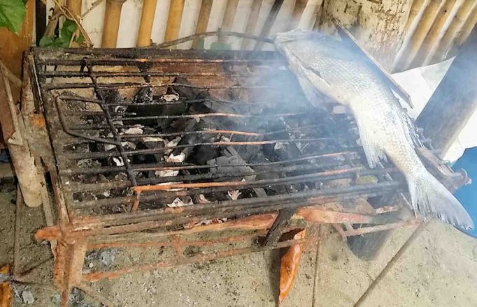 bbq-with-fish
